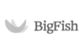 bigfish_logo
